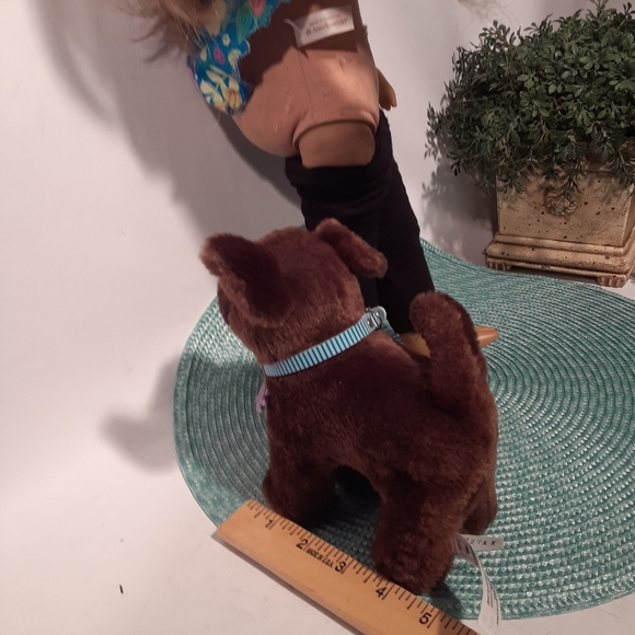 American Girl Doll and Dog Puppy - Picture 4 of 7